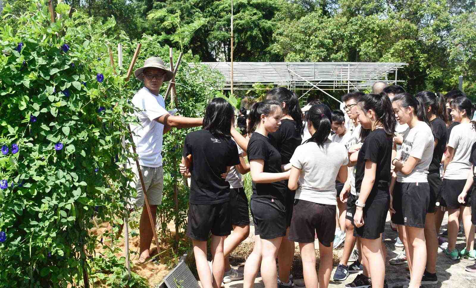 ASHOKA EVERYONE A CHANGEMAKER visual data 5